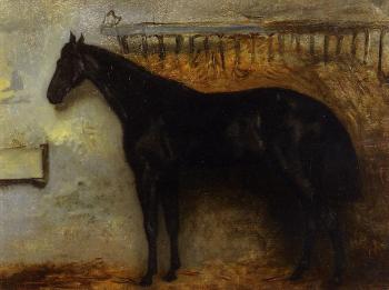 Black Horse in a Stable